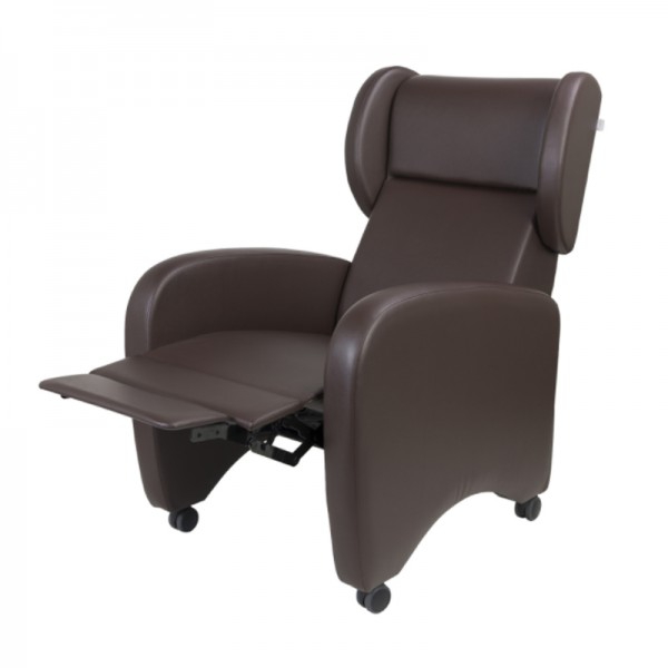 Electric Exotic Armchair: Indicated for use by patients and companions